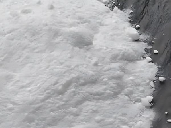 Benzene Sulfinic Acid Sodium Salt ( SBS )